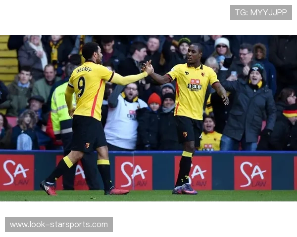 沃特福德俱乐部发展历程与未来战略全景分析